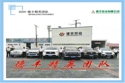 德丰精英团队